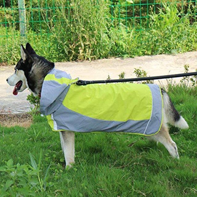 【色: 緑】犬用 レインコート ドッグウェア 散歩 雨用 ペット 小型犬 中型犬