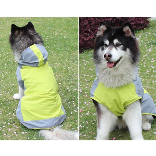 【色: 緑】犬用 レインコート ドッグウェア 散歩 雨用 ペット 小型犬 中型犬 8