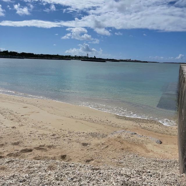 【与論島】約1kg 珊瑚礁 サンゴ 枝 セット ルース 根付 風鈴やオブジェに ハンドメイドの素材/材料(各種パーツ)の商品写真