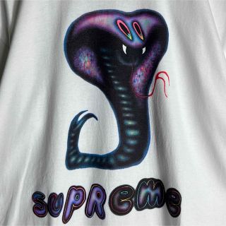 Supreme - [完売品]シュプリーム☆スネークロゴTシャツ 人気L 入手困難