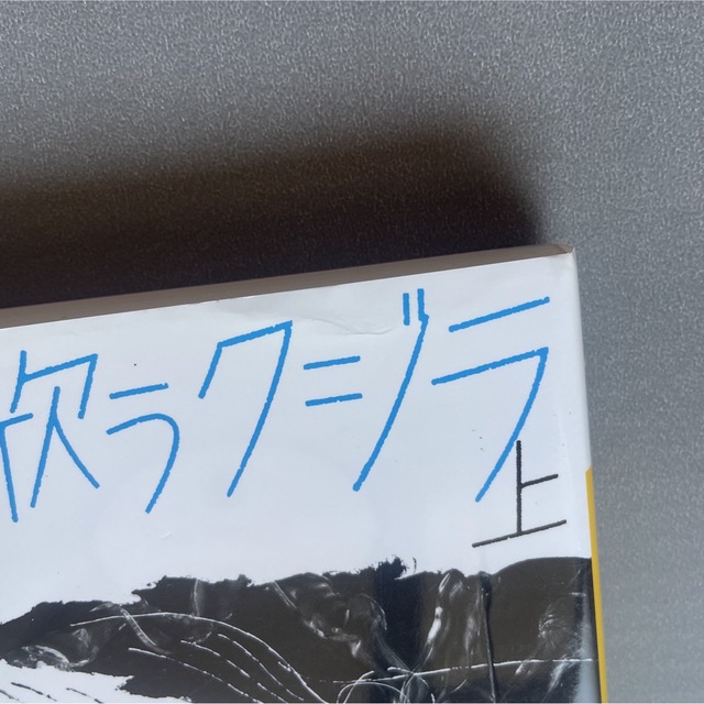 講談社(コウダンシャ)の歌うクジラ 上　村上龍 エンタメ/ホビーの本(文学/小説)の商品写真