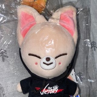 StrayKids SKZOO mini スキズー ミニ アイエン フォクシニー