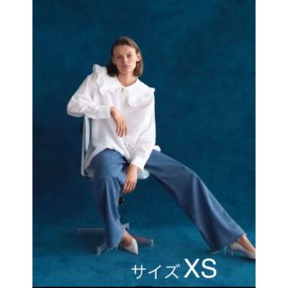 ザラ(ZARA)のZARA ザラ ブラウス ビックカラー 襟 ピーターパン 襟 リネン(シャツ/ブラウス(長袖/七分))