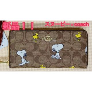 コーチ(COACH)の【新品】スヌーピー × coach コーチ　長財布(財布)