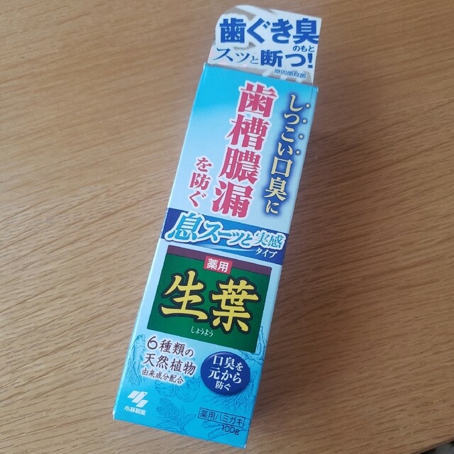 SALE／90%OFF】 小林製薬の薬用ハミガキ 生葉EX 100g ×