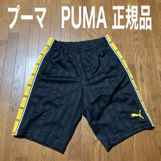 プーマ(PUMA)のプーマPUMA ハーフパンツジャージ　(ウェア)