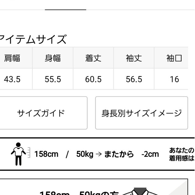 SLOBE IENA(スローブイエナ)の専用SLOBE IENA 未使用カラーフリルブラウス レディースのトップス(シャツ/ブラウス(半袖/袖なし))の商品写真