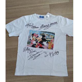 ディズニー(Disney)の東京ディズニーリゾート♡白Ｔシャツ、Ｍサイズ、新品(Tシャツ/カットソー(半袖/袖なし))