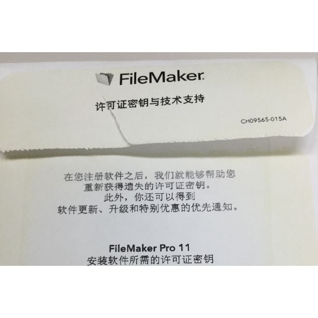 FileMaker Pro 11