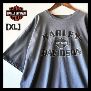 ハーレーダビッドソン(Harley Davidson)の古着★ハーレーダビッドソン ビッグサイズ カレッジロゴ アースカラー濃灰Tシャツ(Tシャツ/カットソー(半袖/袖なし))