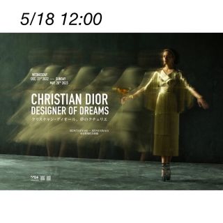 ディオール(Christian Dior) チケットの通販 16点 | クリスチャン