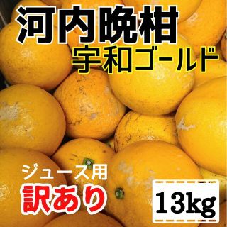 【数量限定】愛媛県産☆河内晩柑 宇和ゴールド 訳あり加工用 13kg☆(フルーツ)