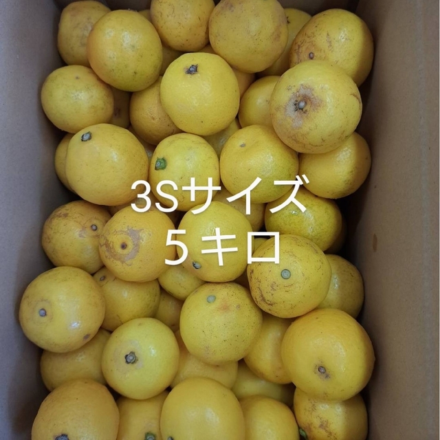 地元果物屋おすすめ高知宿毛産すくも小夏3Sサイズ5キロ日向夏/味良い※一部送料込の通販 by ナオ's shop|ラクマ