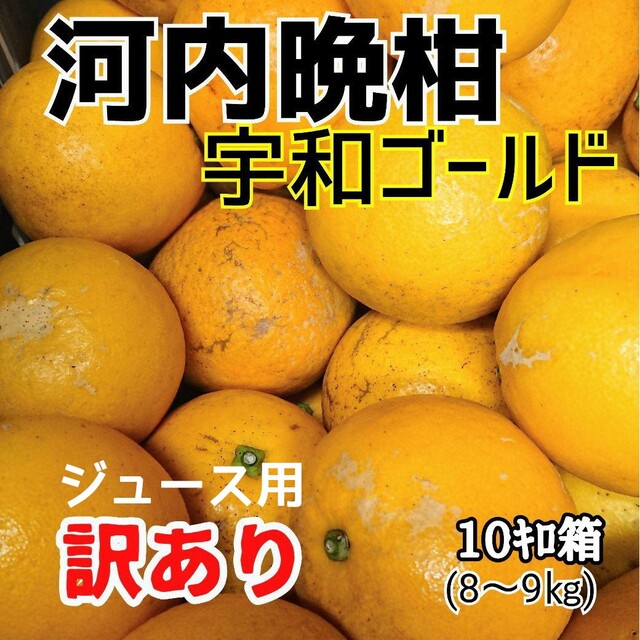 【数量限定】愛媛県産☆河内晩柑 宇和ゴールド 訳あり加工用☆ 食品/飲料/酒の食品(フルーツ)の商品写真