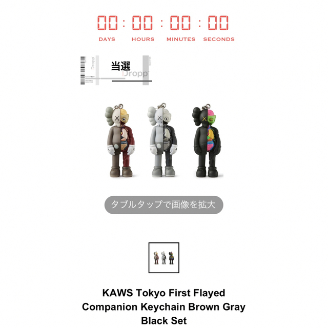 kawsKAWS Tokyo First Flayed Companion未開封