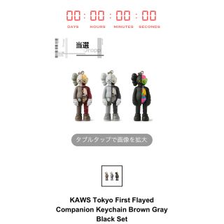 メディコムトイ(MEDICOM TOY)のKAWS Tokyo First Flayed Companion未開封(キャラクターグッズ)