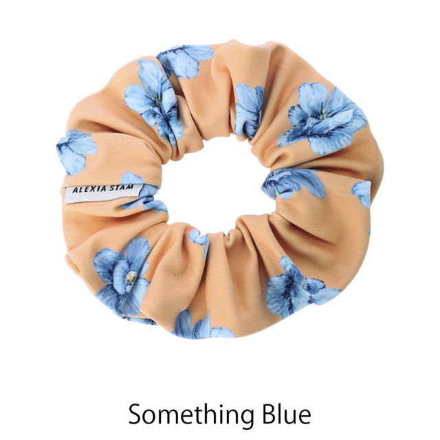 高品質 alexia stam something blue 水着セパレート - abacus-rh.com