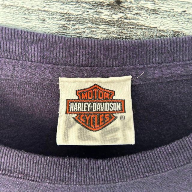 Harley Davidson(ハーレーダビッドソン)の【希少‼︎】ハーレーダビッドソン 両面プリント 半袖 Tシャツ パープル 美品 メンズのトップス(Tシャツ/カットソー(半袖/袖なし))の商品写真