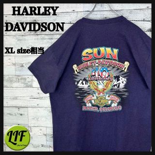 ハーレーダビッドソン 古着コーデの通販 27点 | Harley Davidsonを買う