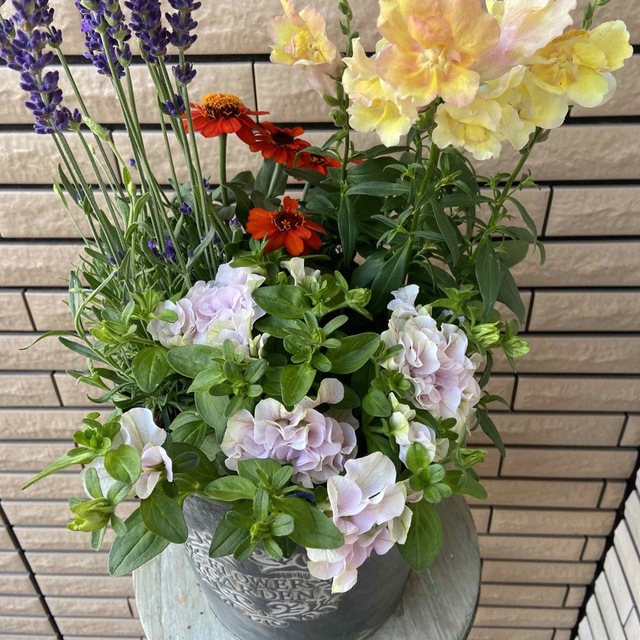 アンティークな鉢に明るい寄せ植え ハンドメイドのフラワー/ガーデン(プランター)の商品写真