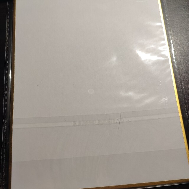 名探偵コナン 灰原哀 宮野志保 青山剛昌先生描き下ろし 複製原画色紙の
