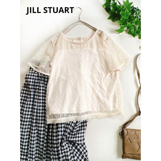 JILLSTUART(ジルスチュアート)のジルスチュアート JILL STUART ドットチュールレース カットソー レディースのトップス(カットソー(半袖/袖なし))の商品写真