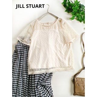 ジルスチュアート(JILLSTUART)のジルスチュアート JILL STUART ドットチュールレース カットソー(カットソー(半袖/袖なし))