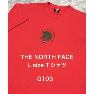 ザノースフェイス(THE NORTH FACE)の【レア】古着 L size THE NORTH FACE Tシャツ(Tシャツ/カットソー(半袖/袖なし))