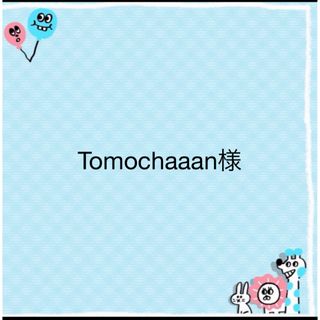 Tomochaaan様専用(外出用品)