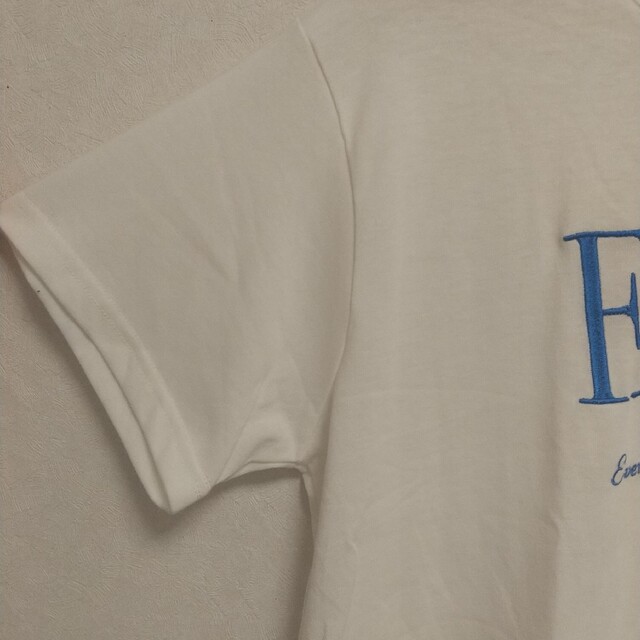 しまむら(シマムラ)のカラー刺繍BIGT レディースのトップス(Tシャツ(半袖/袖なし))の商品写真