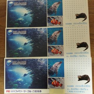 新江ノ島水族館招待券チケット　3枚(水族館)