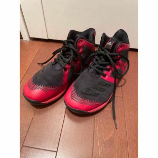 アディダス(adidas)のアディダス　adidas キッズ　バスケットシューズ　22.5センチ　子供(バスケットボール)