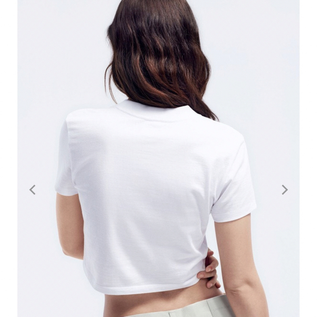 Calvin Klein(カルバンクライン)の【新品】カルバンクライン　ジェニー　コットンジャージーベビーTシャツS レディースのトップス(Tシャツ(半袖/袖なし))の商品写真