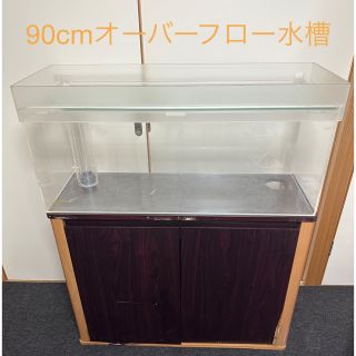 石見銀山 アクリル水槽 オーバーフロー水槽 キャノピーセット 定価