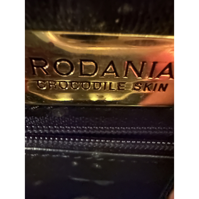 RODANIA(ロダニア)のRODANIA crocodile バッグ　 レディースのバッグ(トートバッグ)の商品写真