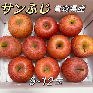 サンふじ　りんご　青森県産　9玉〜12玉　3kg   林檎(フルーツ)