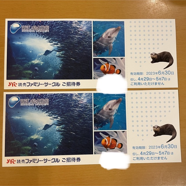 新江ノ島水族館チケット　4枚セット