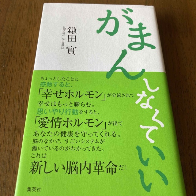 がまんしなくていい エンタメ/ホビーの本(文学/小説)の商品写真