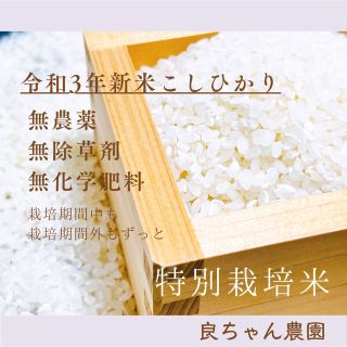 特別栽培米　栽培期間中無農薬（栽培期間外もずっと）令和3年産3合(450g）(米/穀物)