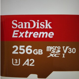 サンディスク(SanDisk)のマイクロSDカード　256ＧＢ(その他)