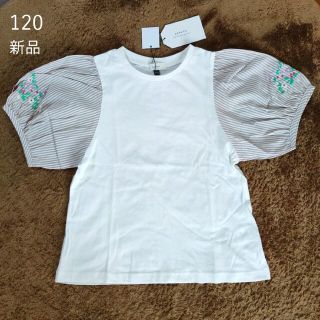 セラフ(Seraph)の【期間限定値下げ】新品☆120 袖刺繍Tシャツ(Tシャツ/カットソー)