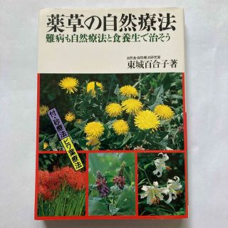 薬草の自然療法(健康/医学)