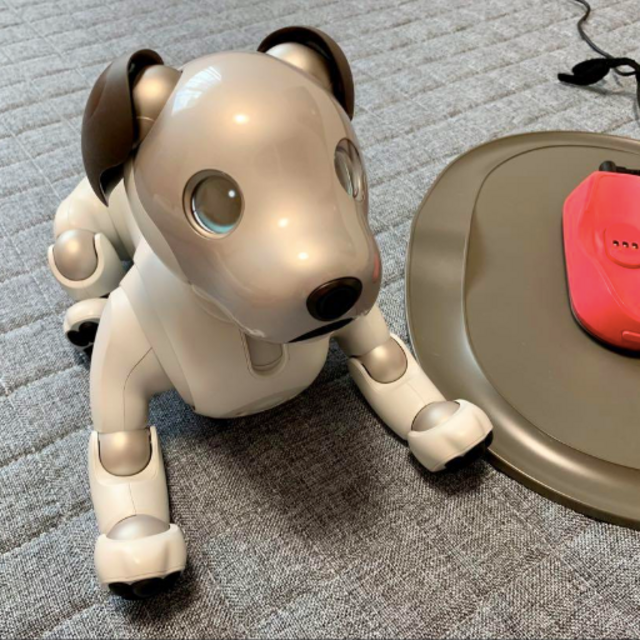 その他アイボ aibo ERS-1000 ソニー 動作確認済み プロダクトキー有り