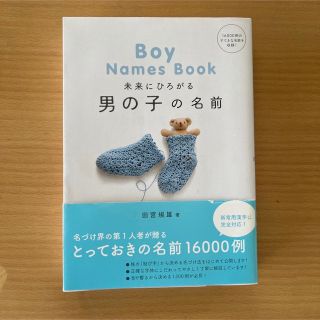 未来にひろがる男の子の名前　名づけ事典(結婚/出産/子育て)