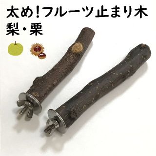 太め！フルーツ止まり木　栗・梨　2本セット(鳥)