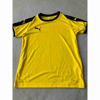 プーマ(PUMA)の150 未使用Tシャツ(Tシャツ/カットソー)