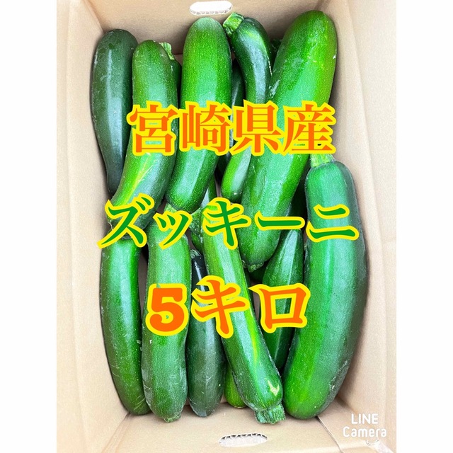 野菜　ズッキーニ　5キロ　宮崎県産 食品/飲料/酒の食品(野菜)の商品写真