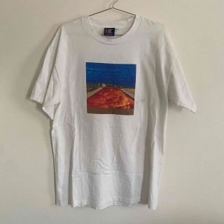 レッドホットチリペッパーズ ビンテージ tシャツ  (Tシャツ/カットソー(半袖/袖なし))