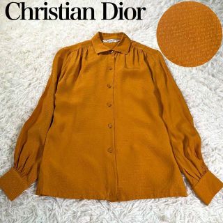 ディオール(Christian Dior) シャツ/ブラウス(レディース/長袖)の通販