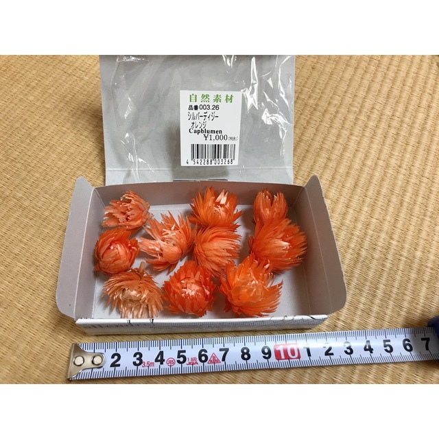 シルバーデイジー　orange ヘッド１０輪 ハンドメイドのフラワー/ガーデン(ドライフラワー)の商品写真